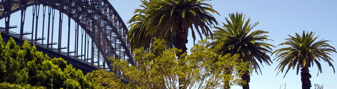 价格最低的打爆别人手机号的软件